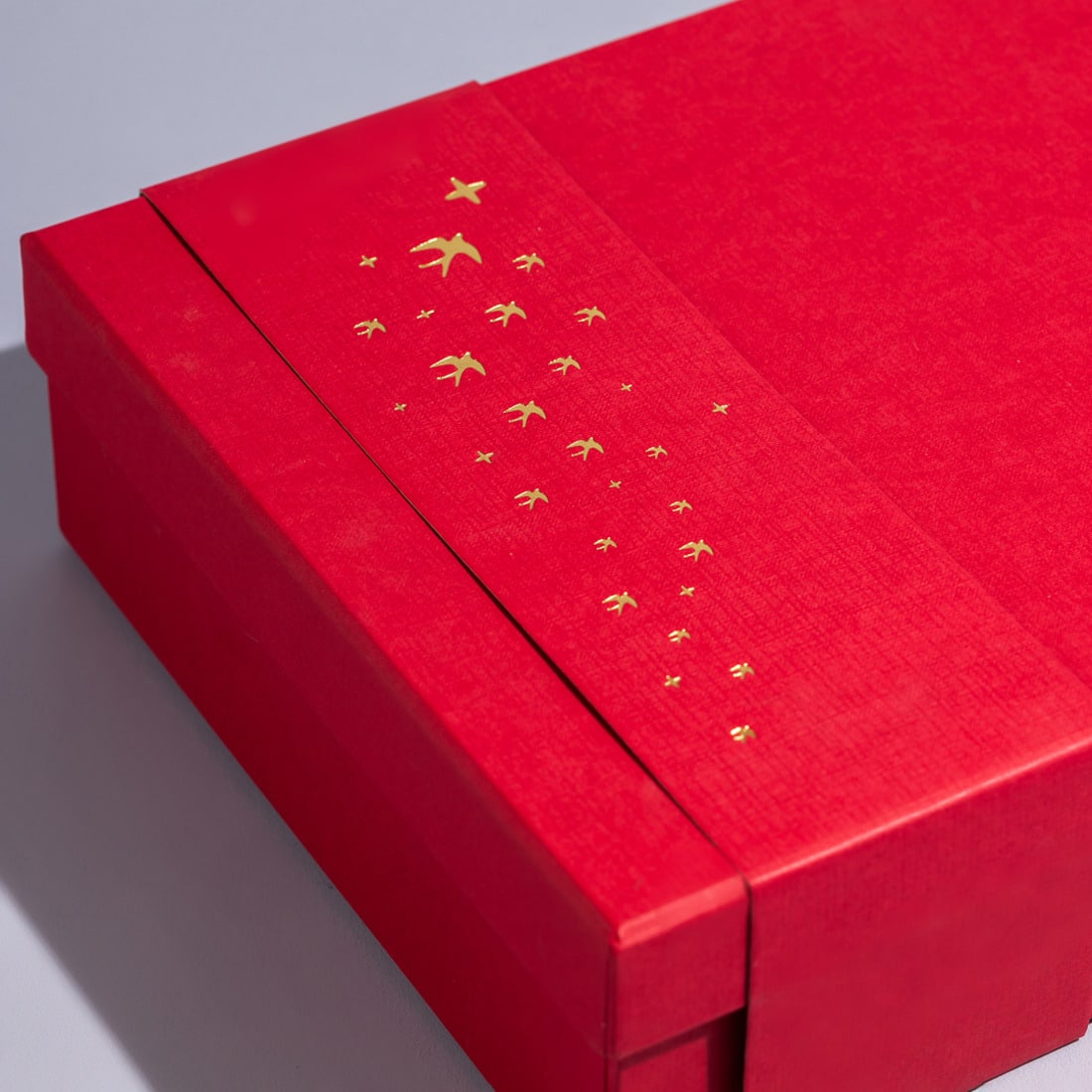 Life in Color - Image 9