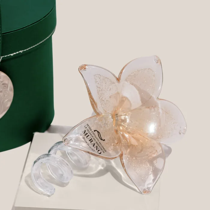 Glow & Grow - Image 3
