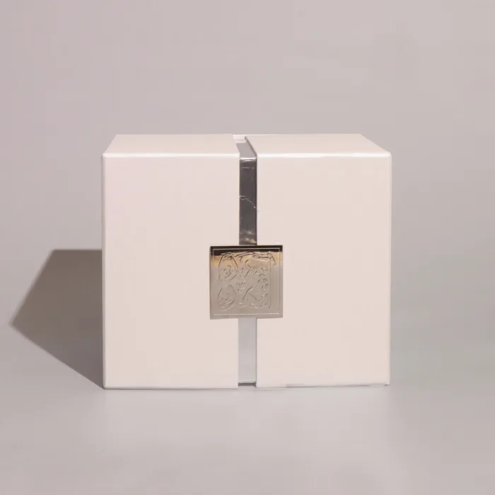 Luminous Charm - Image 5
